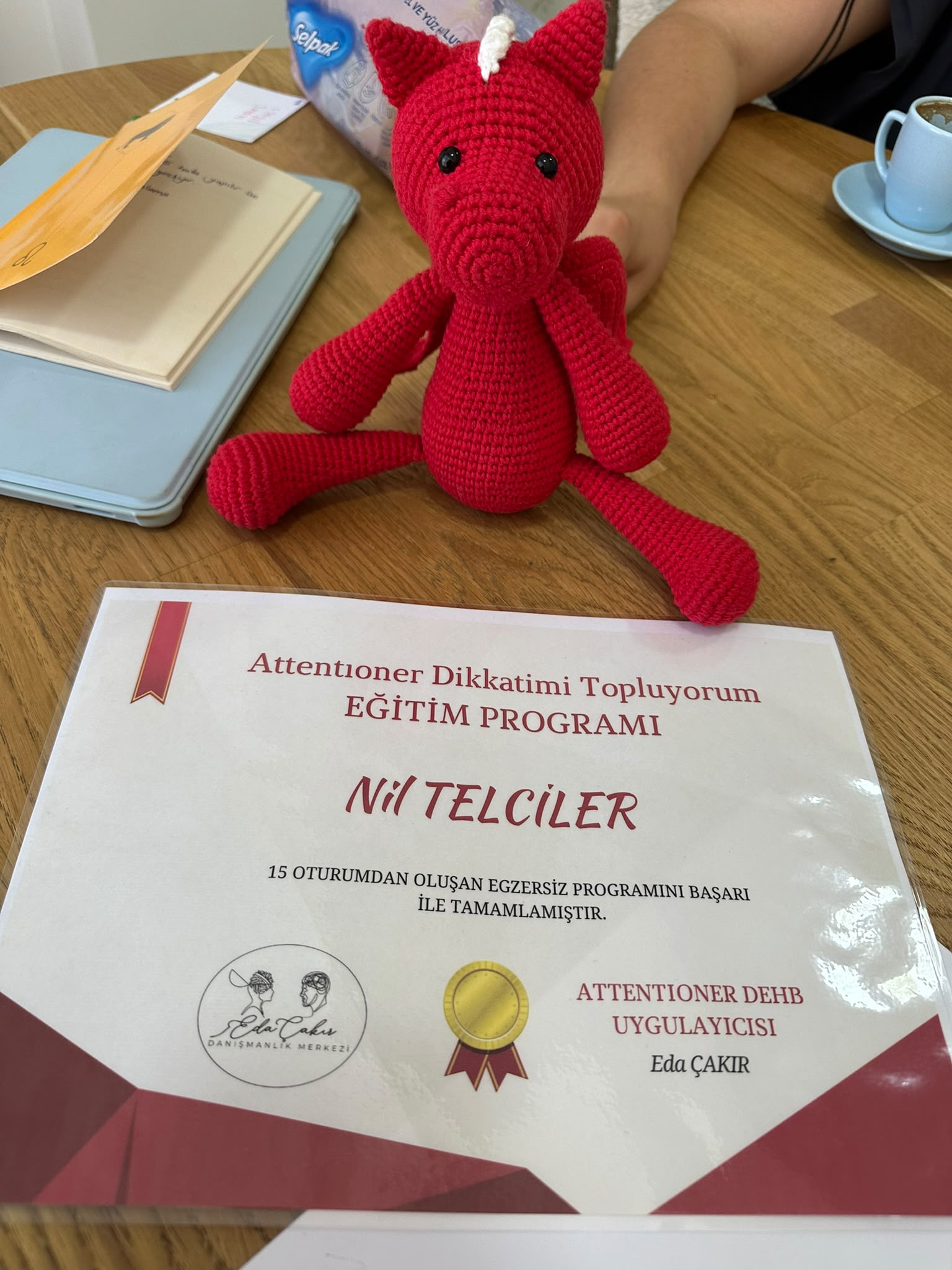 Attentioner ve MOXO dikkat çalışmaları